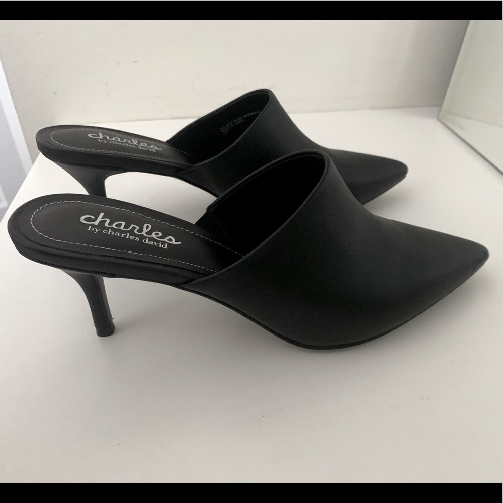 Size 8 Charles by Charles David Abree Mule